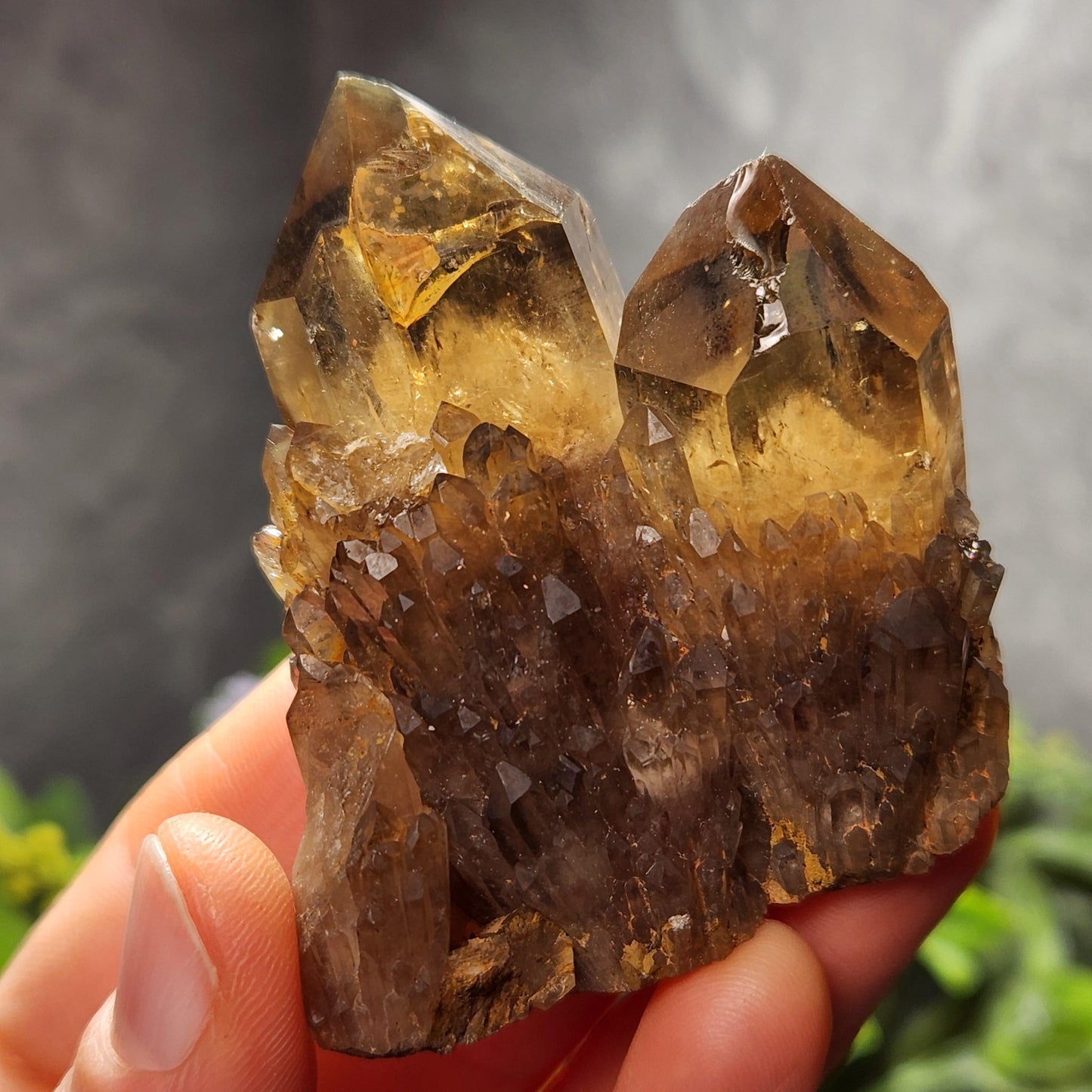 Kundalini Smoky Citrine Cluster (85g): Natural Congo Quartz Crystal, Kundalini Specimen