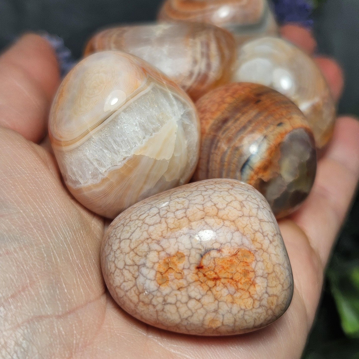 Fire Agate Tumbled Stone (1