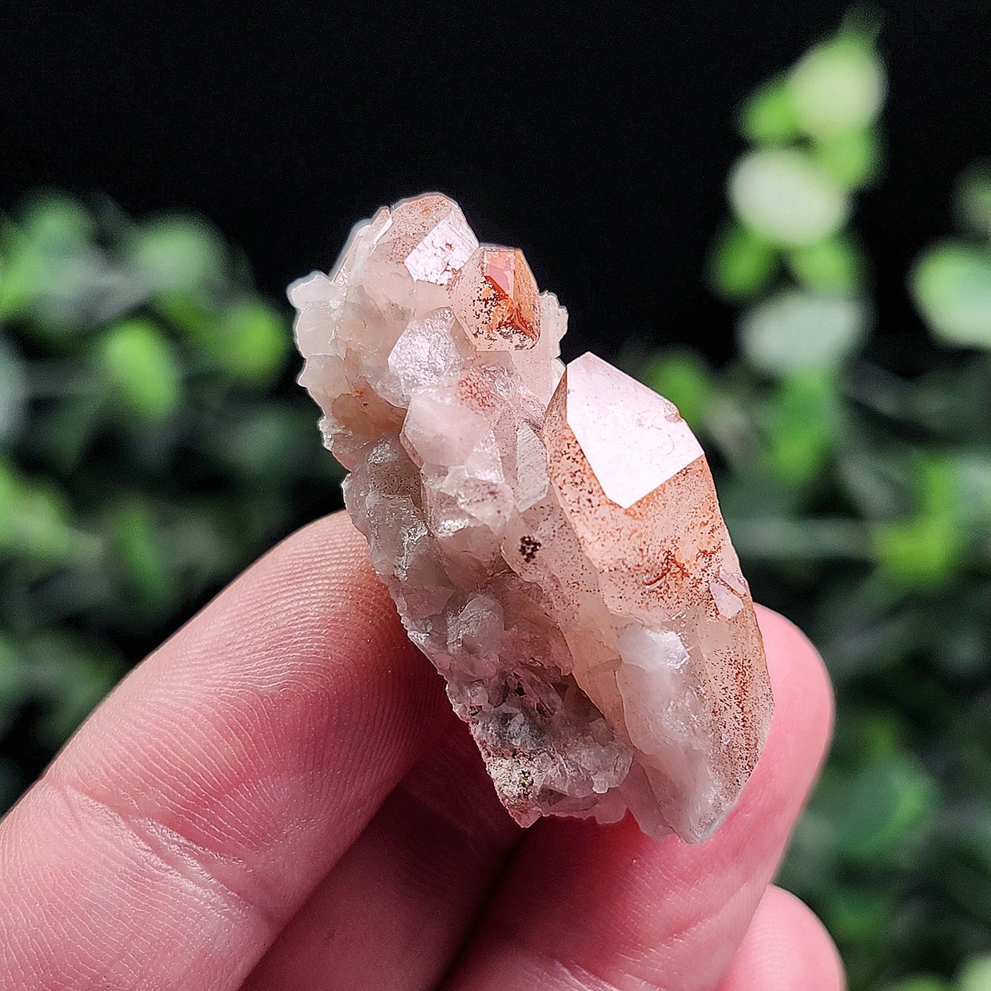 Orange River Phantom Quartz Crystal Cluster: Hematite Inclusions
