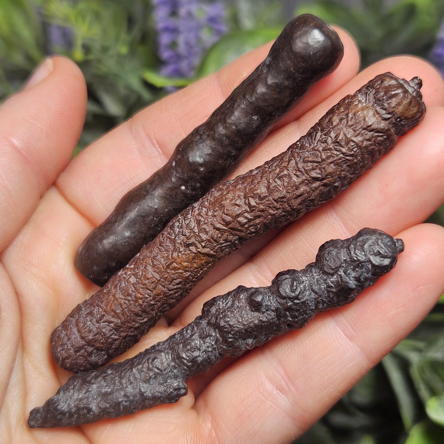 Angel Chime Prophecy Stone Wand: Natural Prophecy Specimen from Egypt, Pseudomorph Crystal