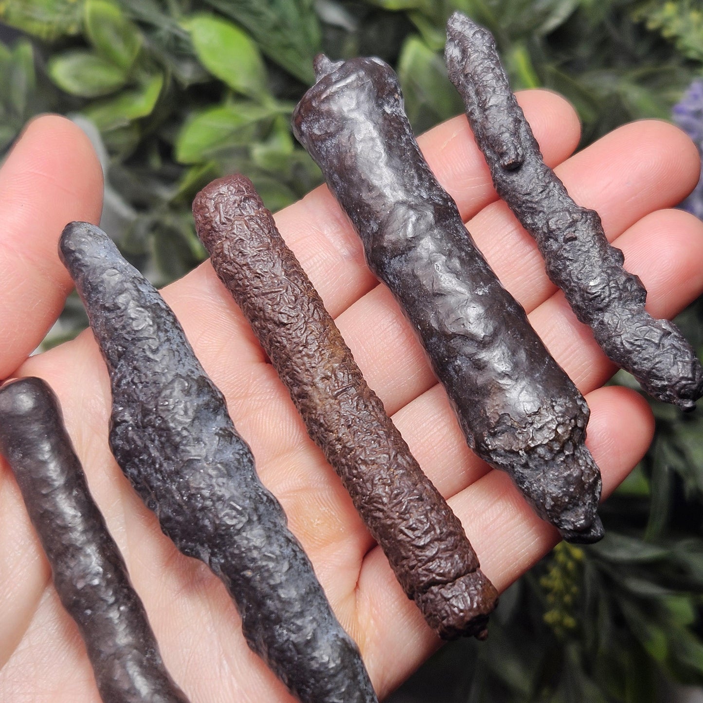 Angel Chime Prophecy Stone Wand: Natural Prophecy Specimen from Egypt, Pseudomorph Crystal