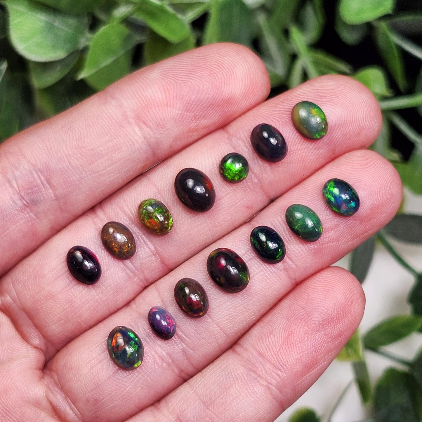 Black Opal Cabochon
