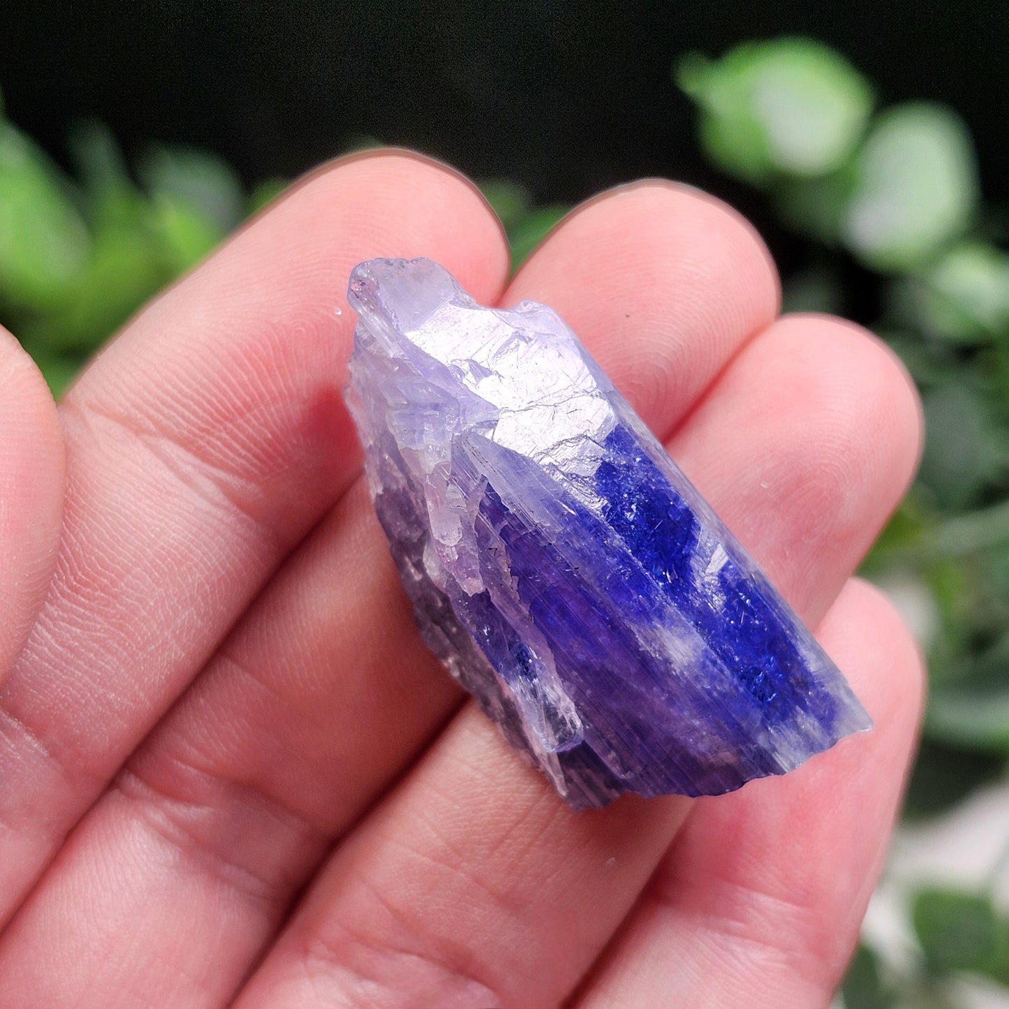 Tanzanite Crystal 11.6g