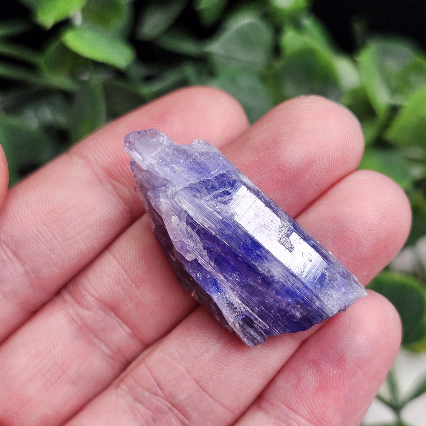 Tanzanite Crystal 11.6g