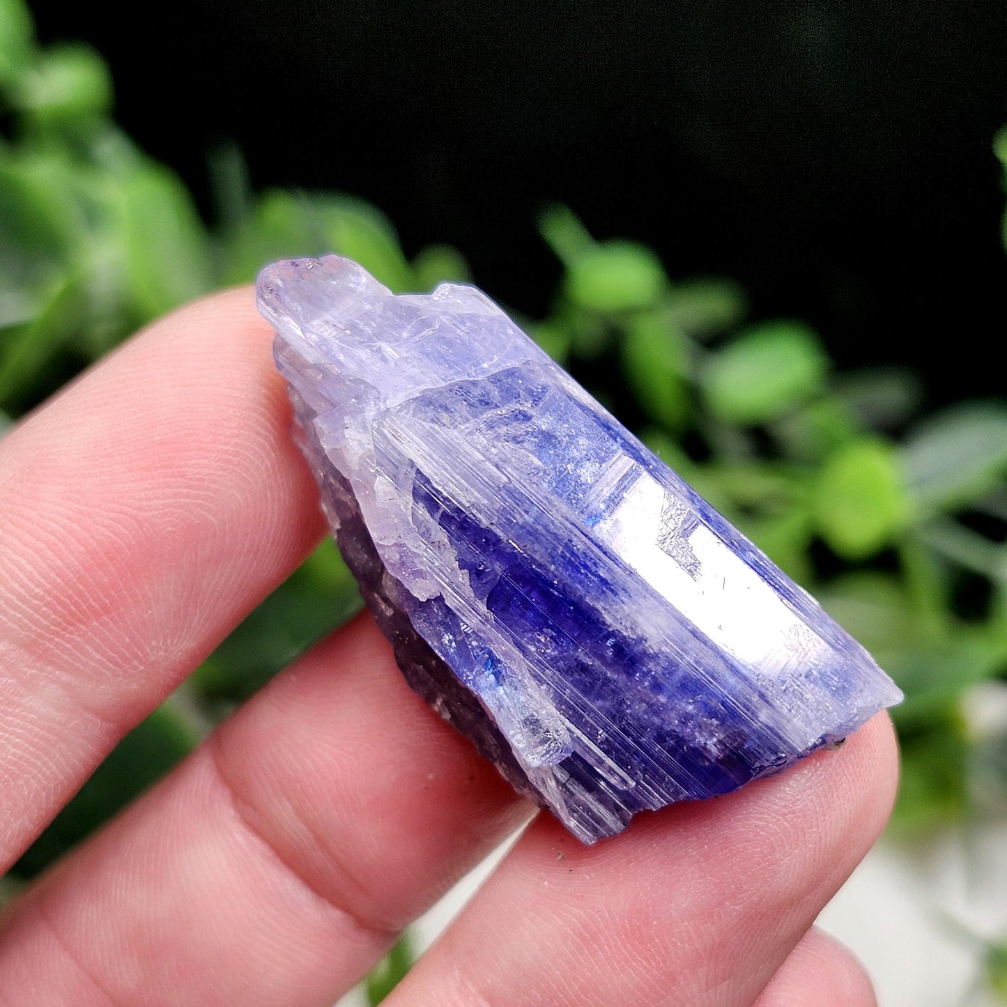 Tanzanite Crystal 11.6g