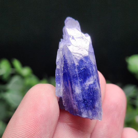 Tanzanite Crystal 11.6g