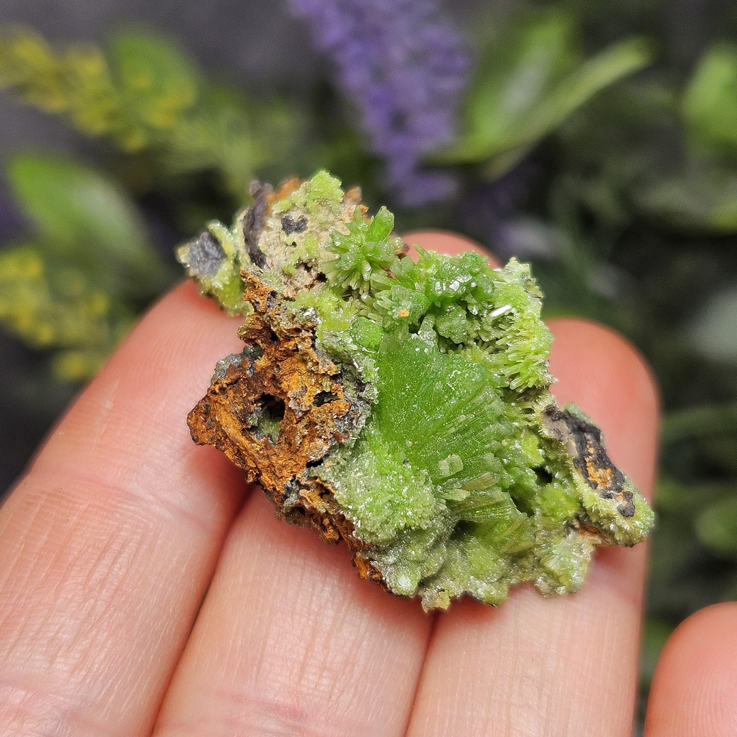 Pyromorphite Crystal