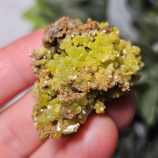Pyromorphite Crystal