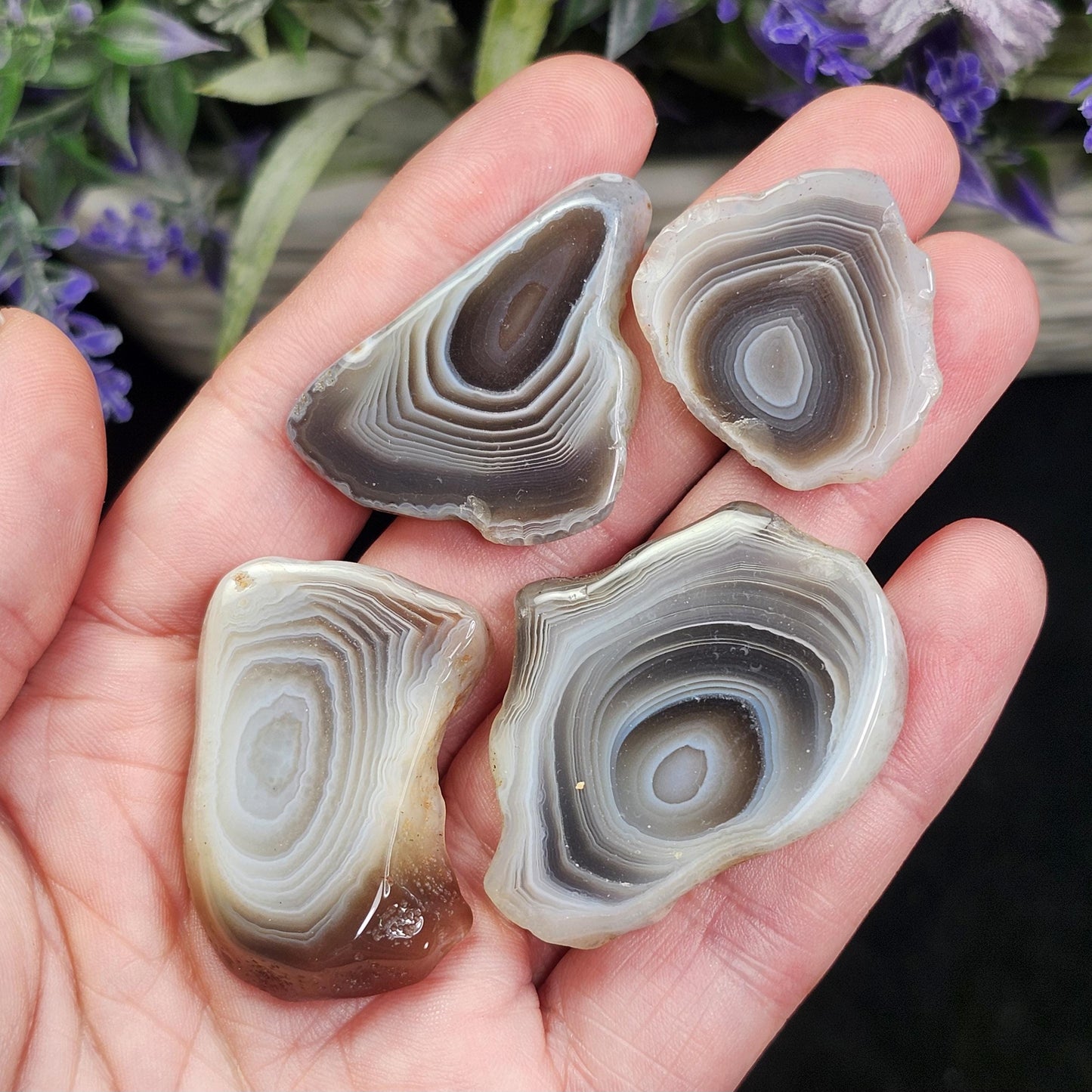 Botswana Agate Crystal