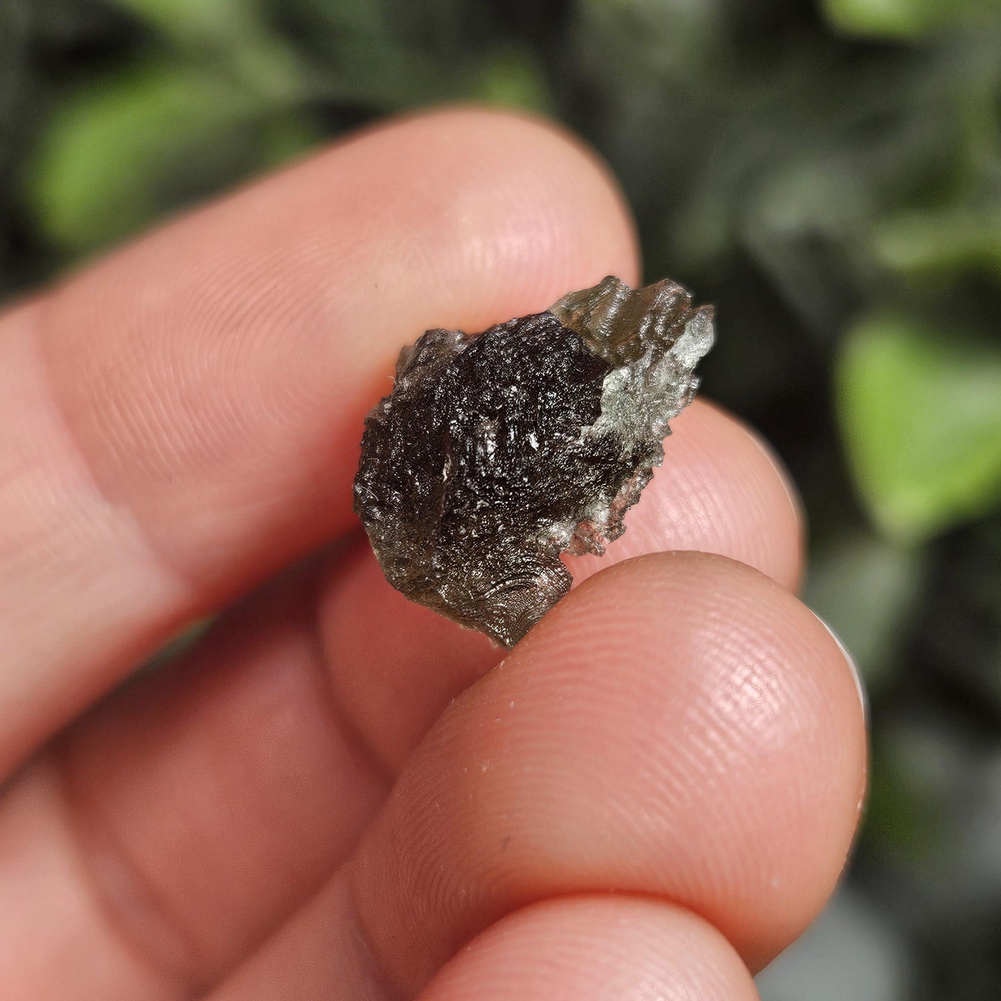 Angel Chime Moldavite (1.35g) Moldavite