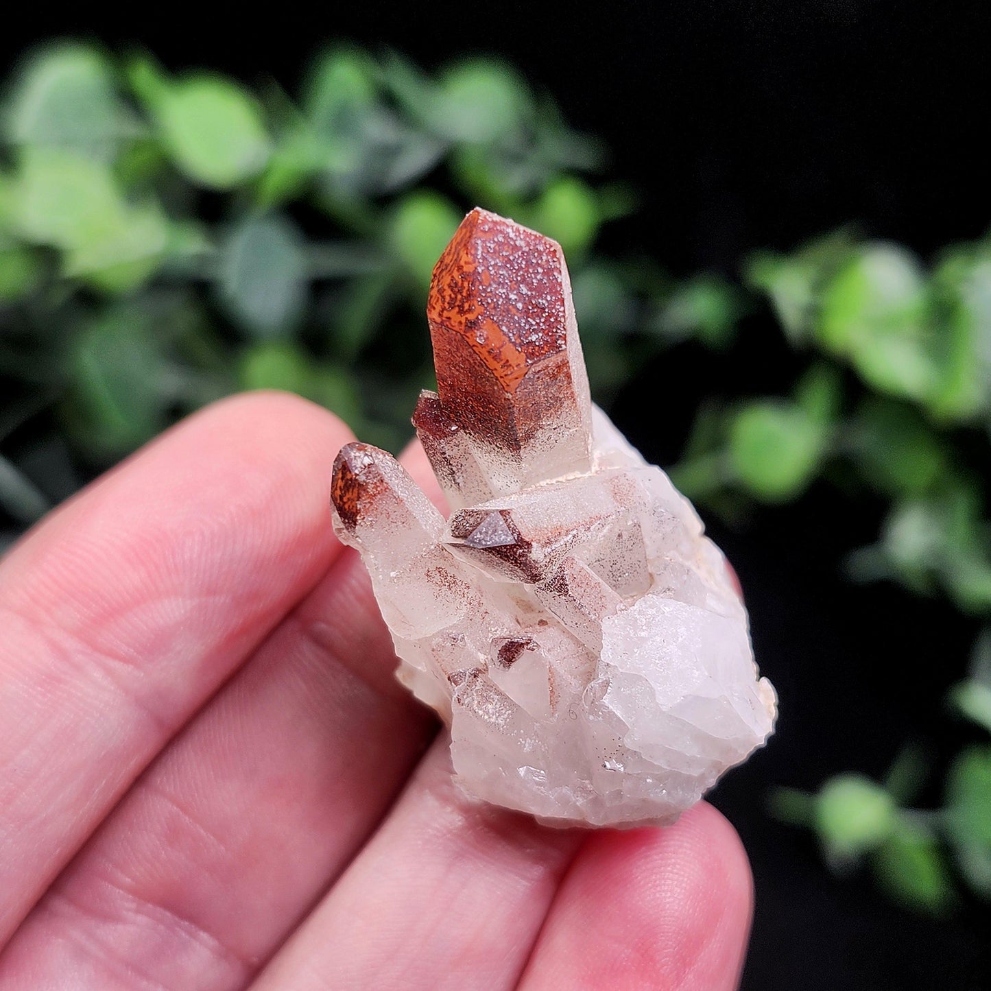 Orange River Phantom Quartz Crystal Cluster: Hematite Inclusions