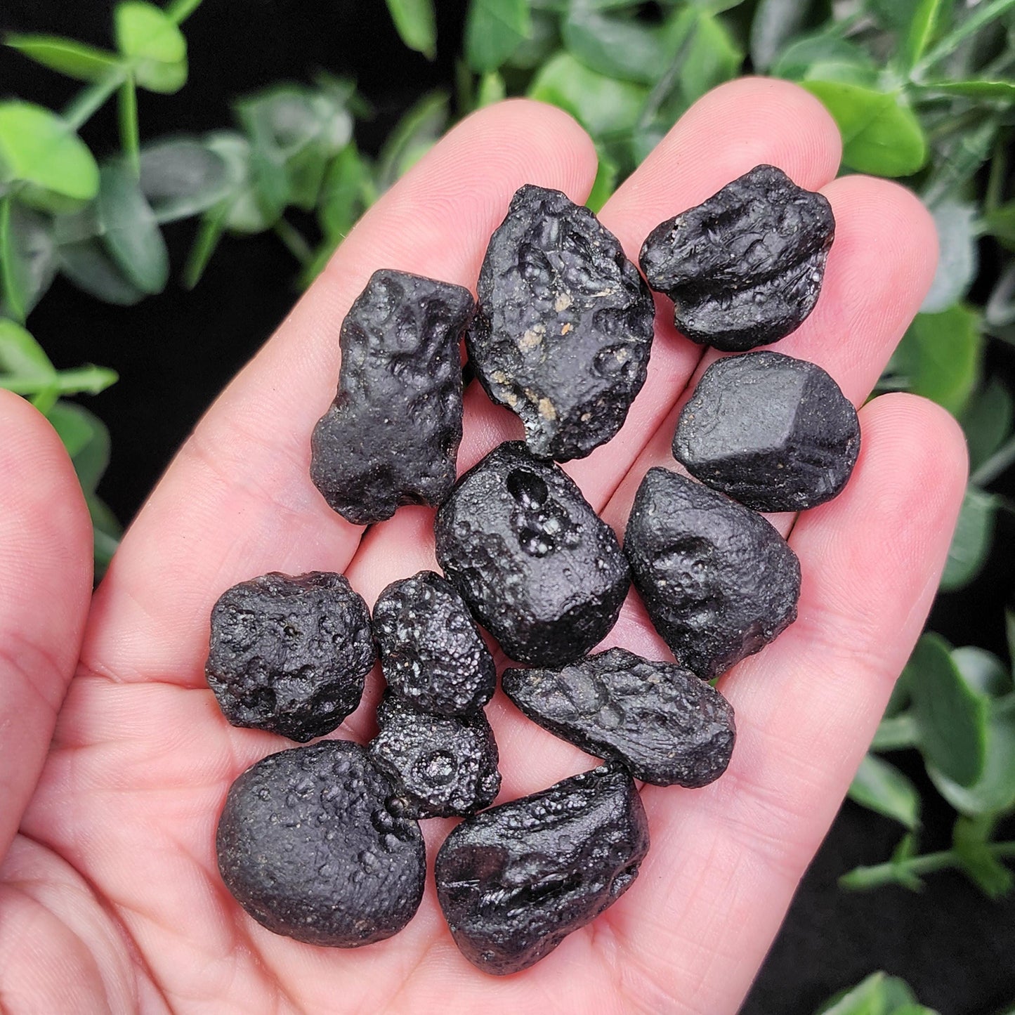 Indochinite Tektite