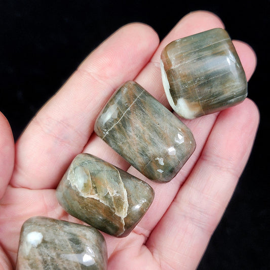 Polarity Moonstone