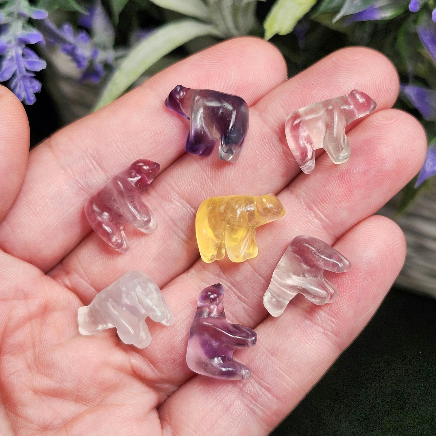 Rainbow Fluorite Bear