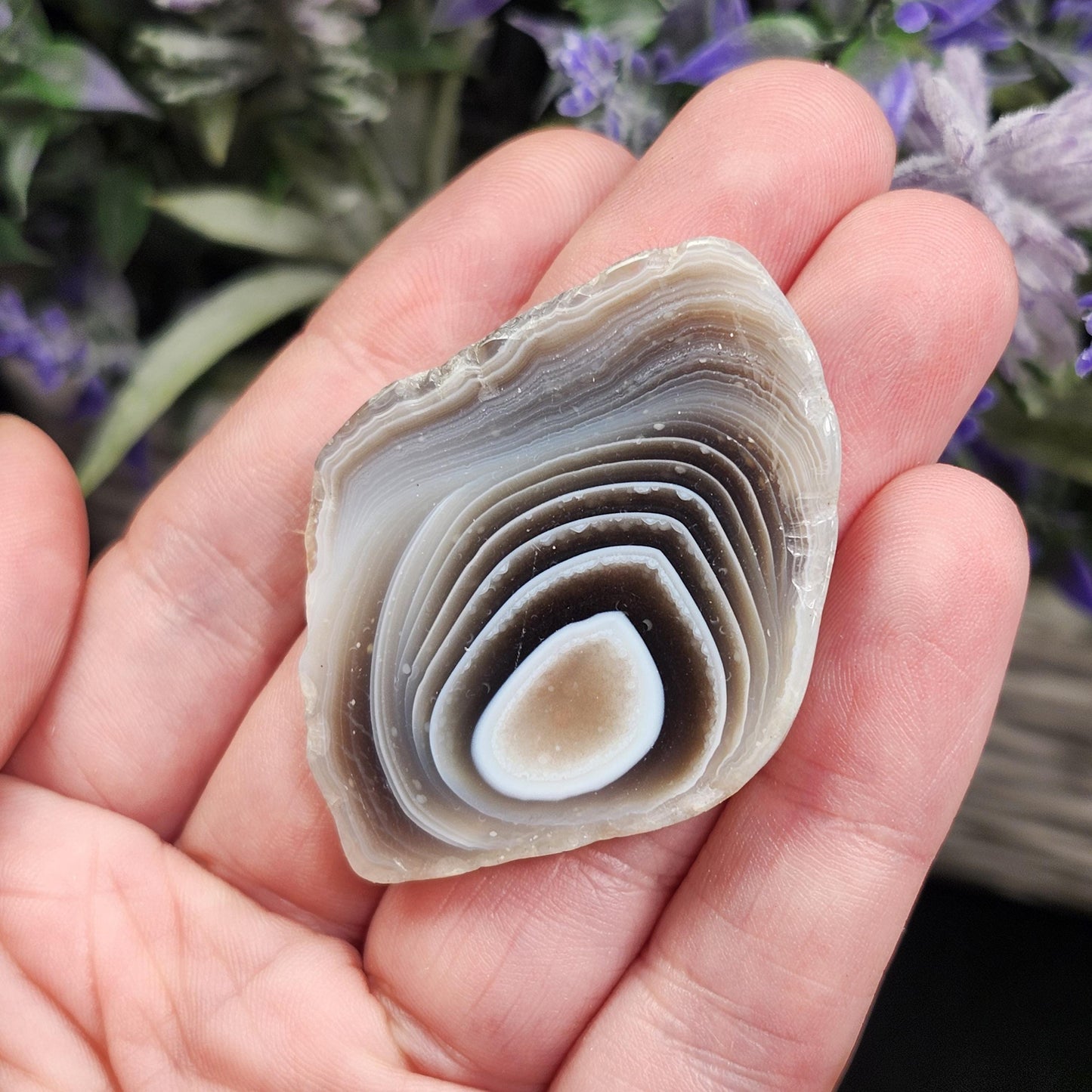 Botswana Agate Crystal
