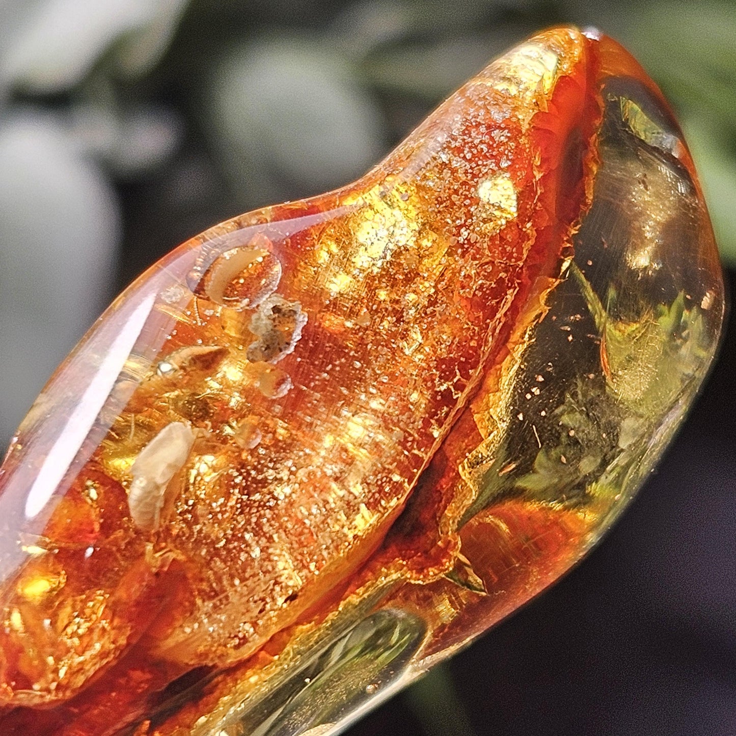 Amber with Insects, 10.6g Polished Amber from Colombia