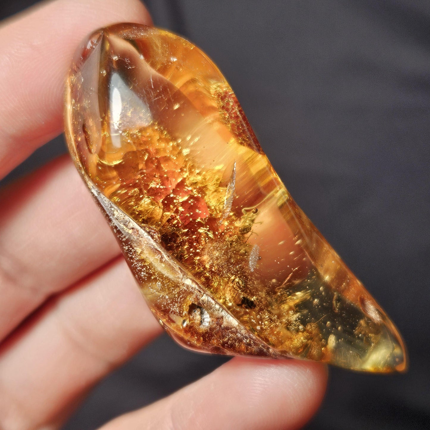 Amber with Insects, 10.6g Polished Amber from Colombia