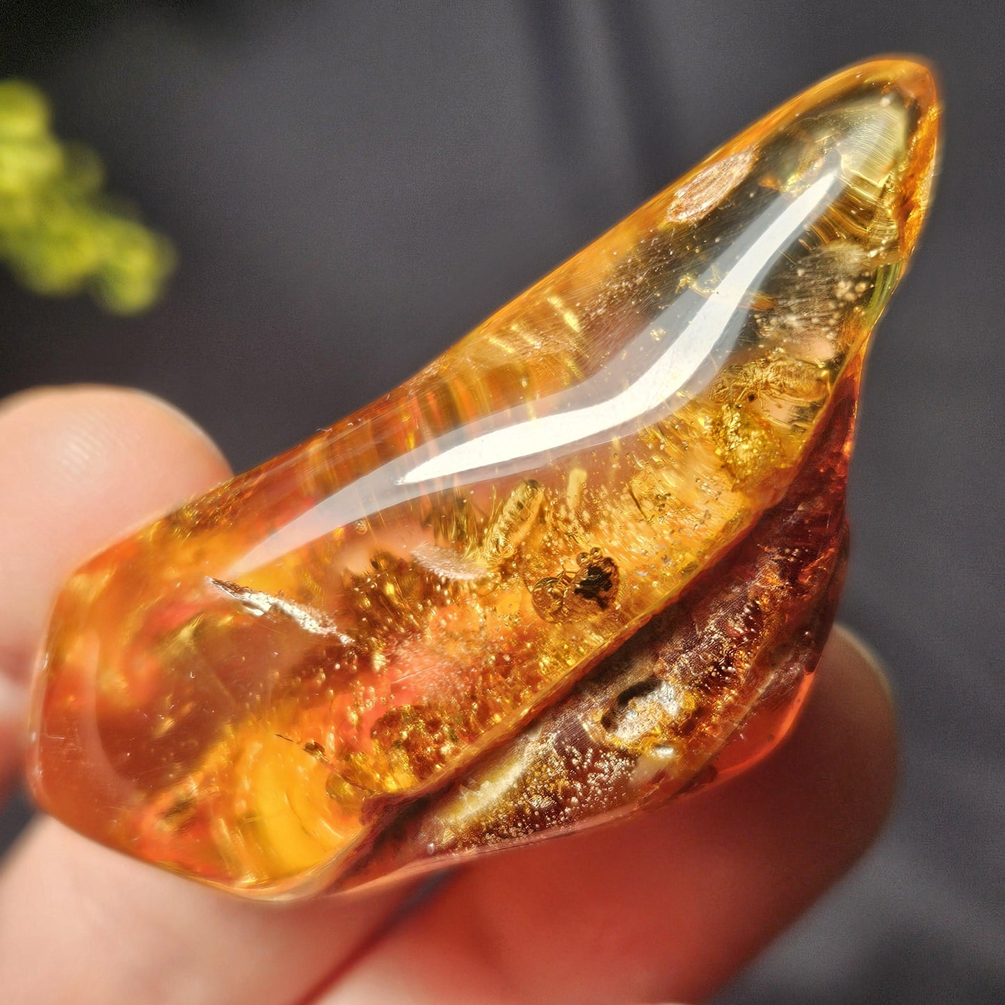 Amber with Insects, 10.6g Polished Amber from Colombia