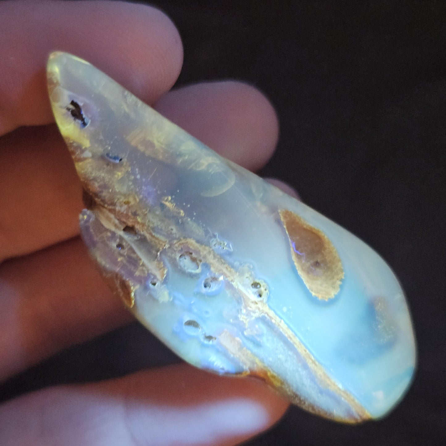 Amber with Insects, 10.6g Polished Amber from Colombia