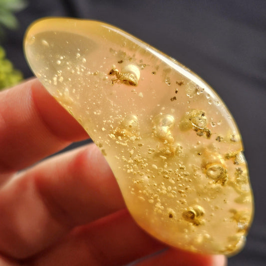 Amber with Insects, 10.2g Polished Amber from Colombia