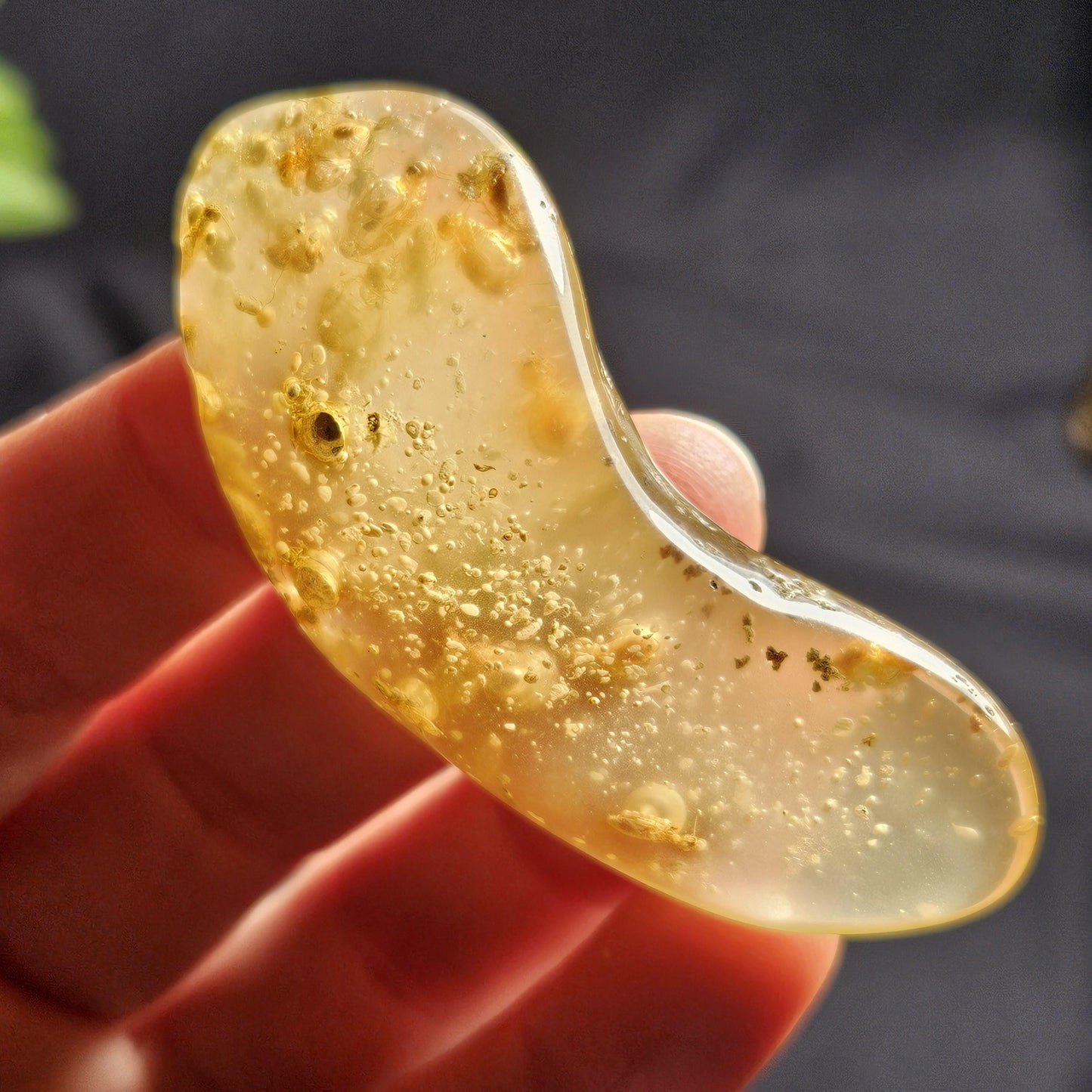Amber with Insects, 10.2g Polished Amber from Colombia