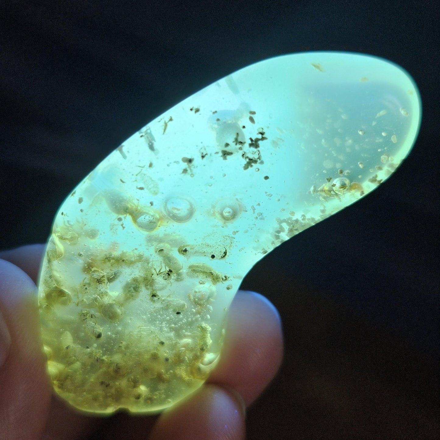 Amber with Insects, 10.2g Polished Amber from Colombia