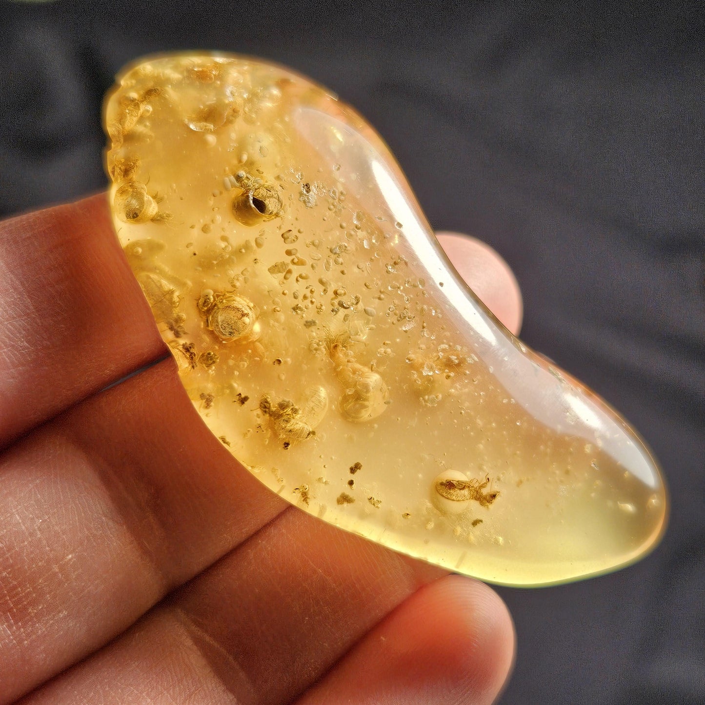 Amber with Insects, 10.2g Polished Amber from Colombia