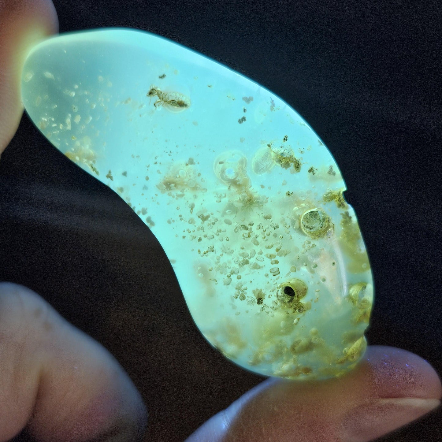 Amber with Insects, 10.2g Polished Amber from Colombia
