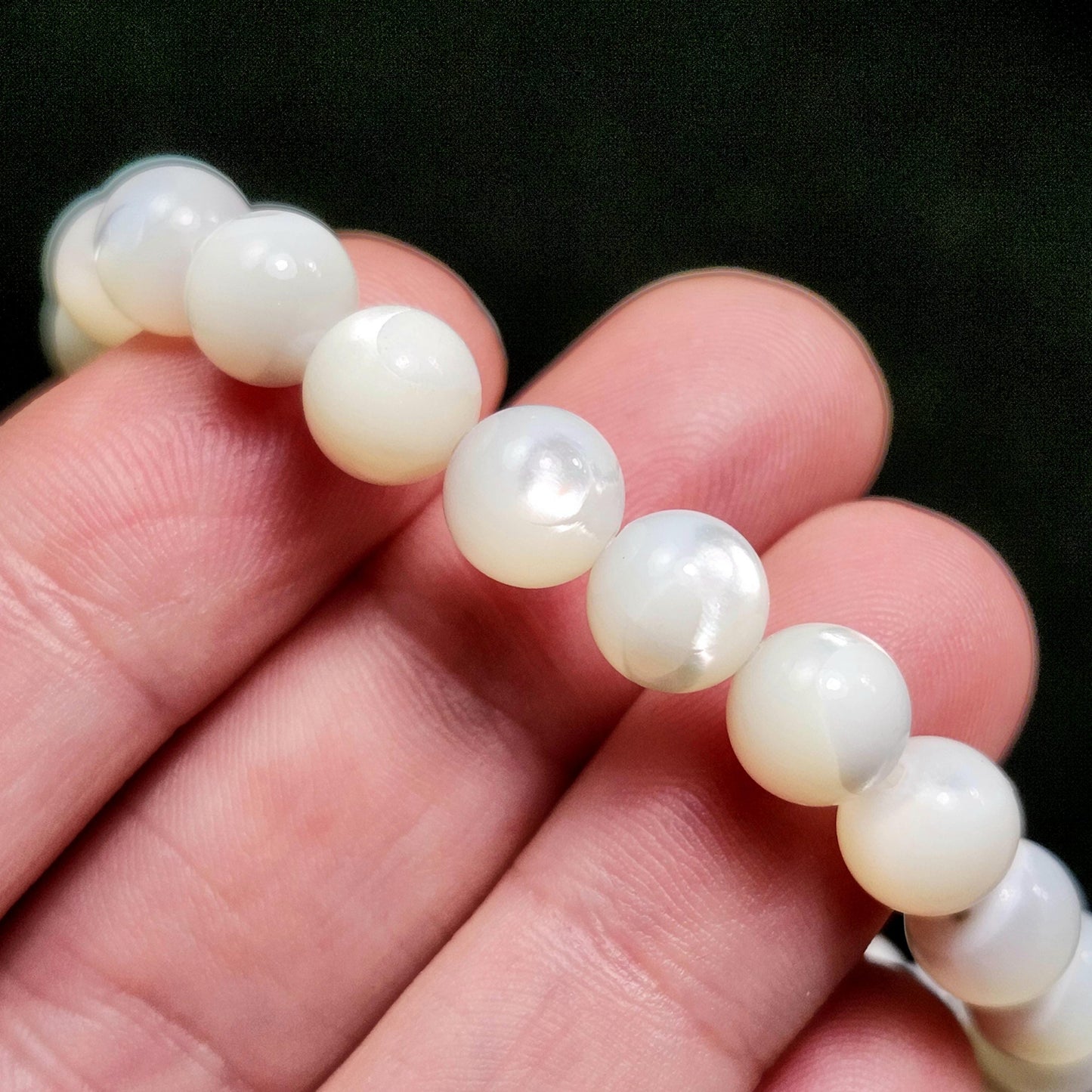 Shell Bracelet