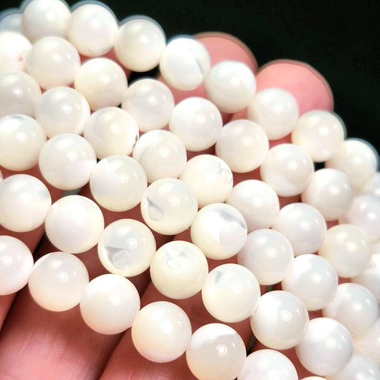 Shell Bracelet