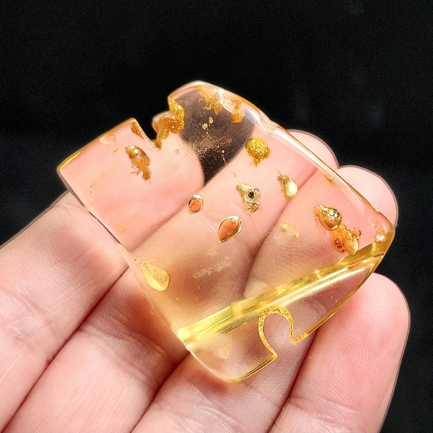 MOVING Enhydro AMBER with Bugs 8g