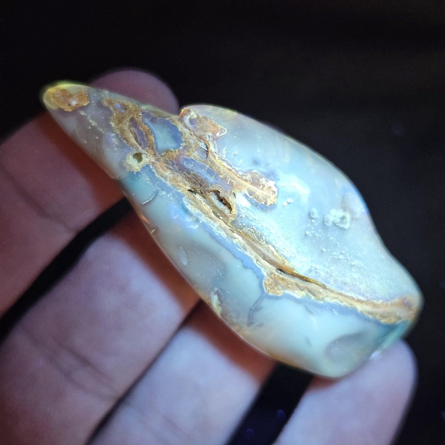Amber with Insects, 10.6g Polished Amber from Colombia