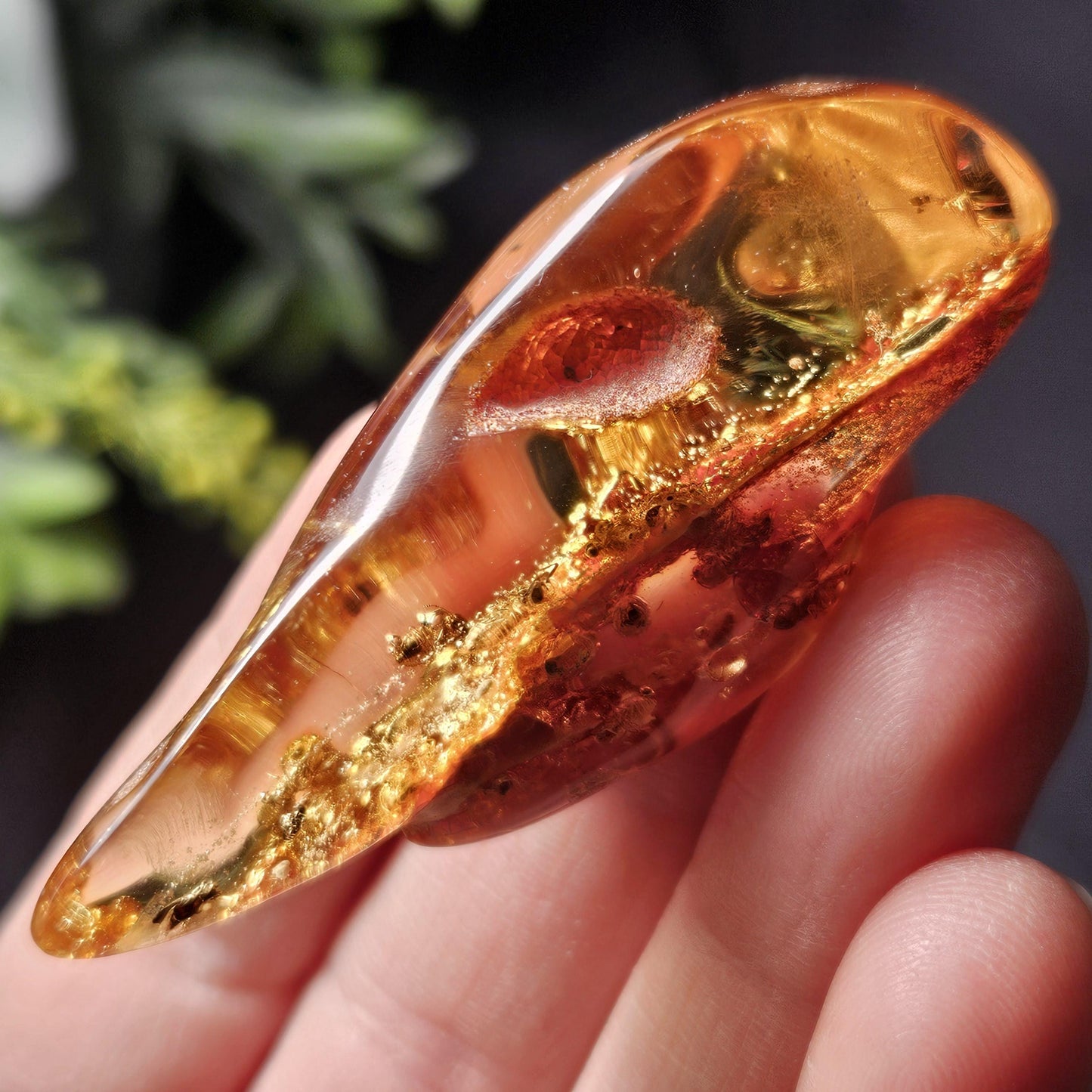 Amber with Insects, 10.6g Polished Amber from Colombia