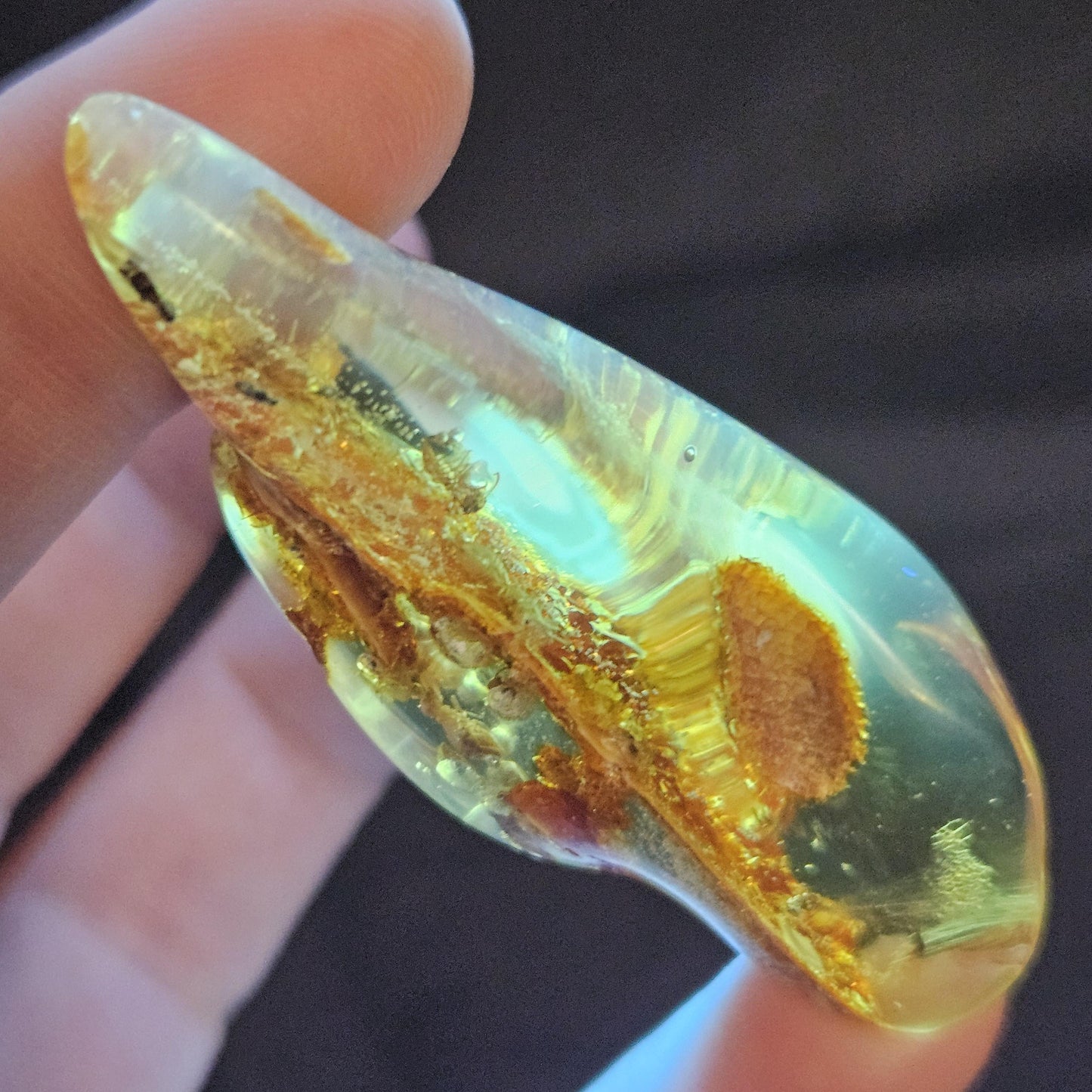 Amber with Insects, 10.6g Polished Amber from Colombia