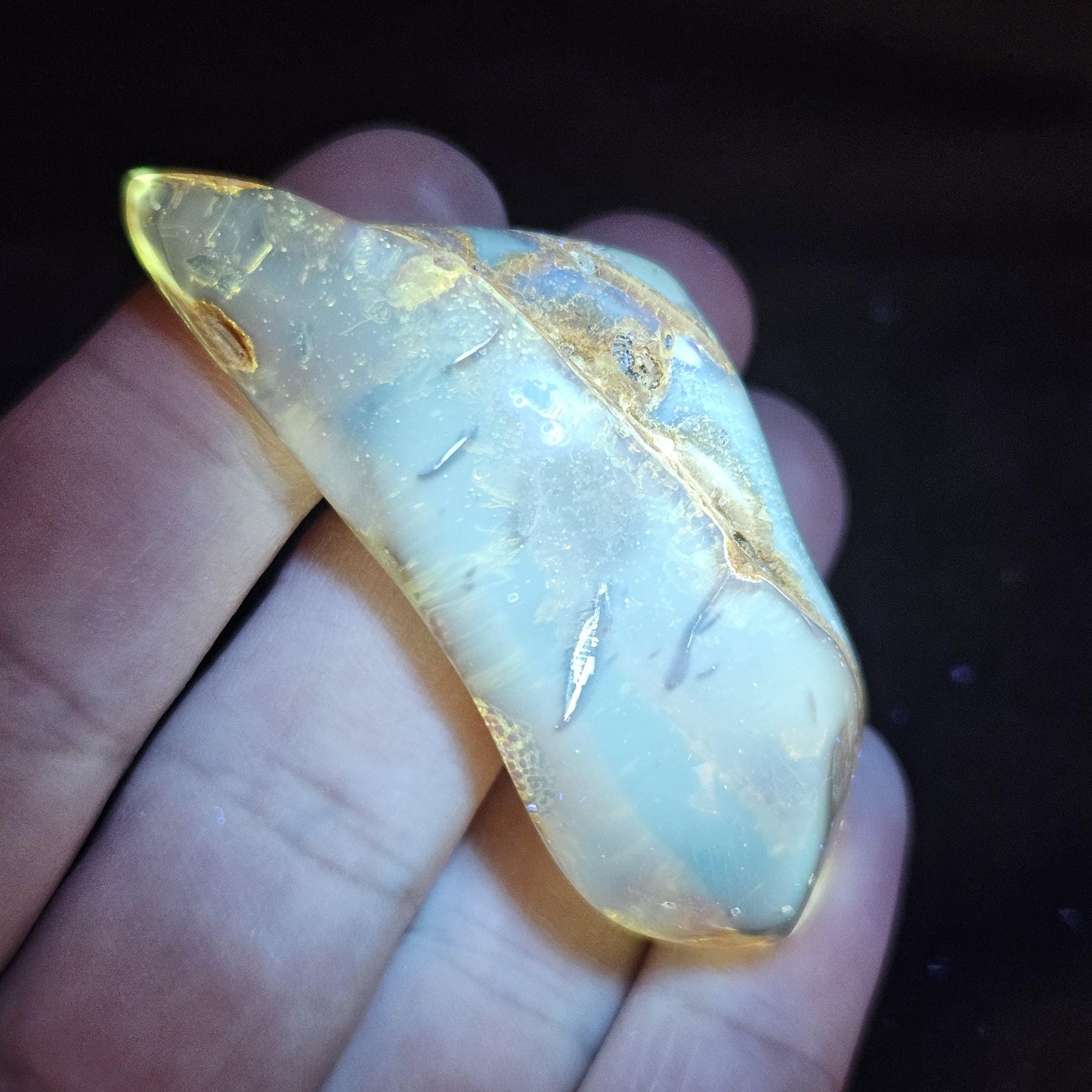 Amber with Insects, 10.6g Polished Amber from Colombia
