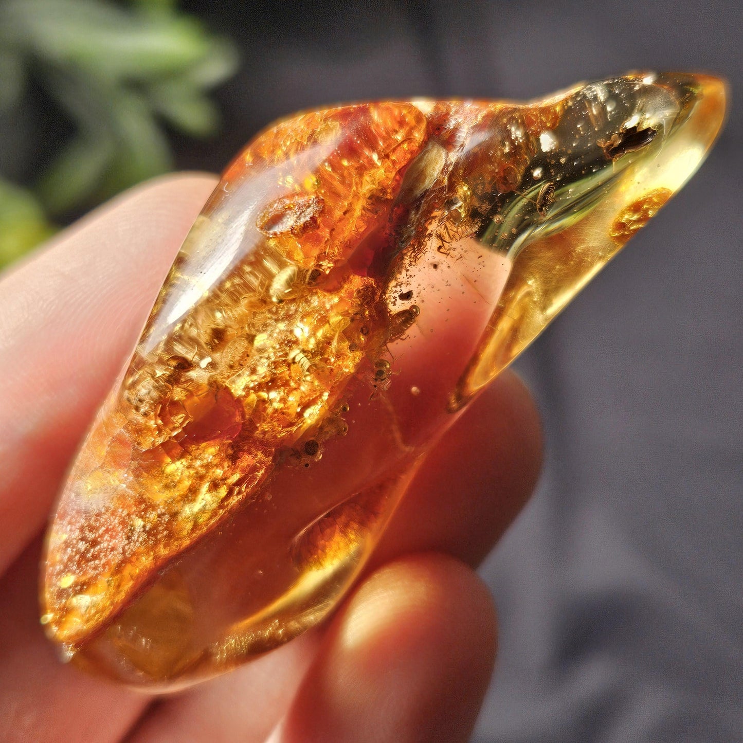 Amber with Insects, 10.6g Polished Amber from Colombia