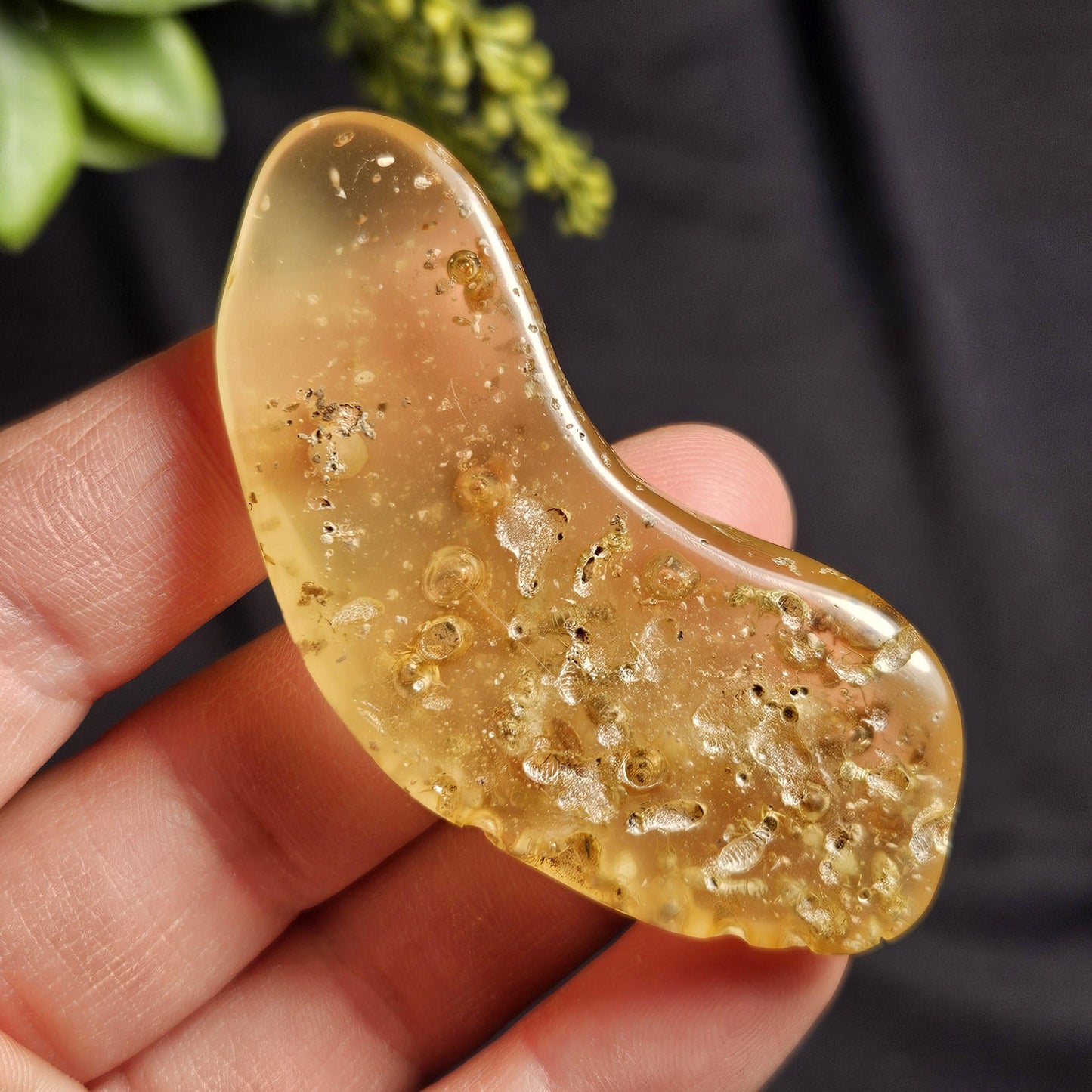 Amber with Insects, 10.2g Polished Amber from Colombia
