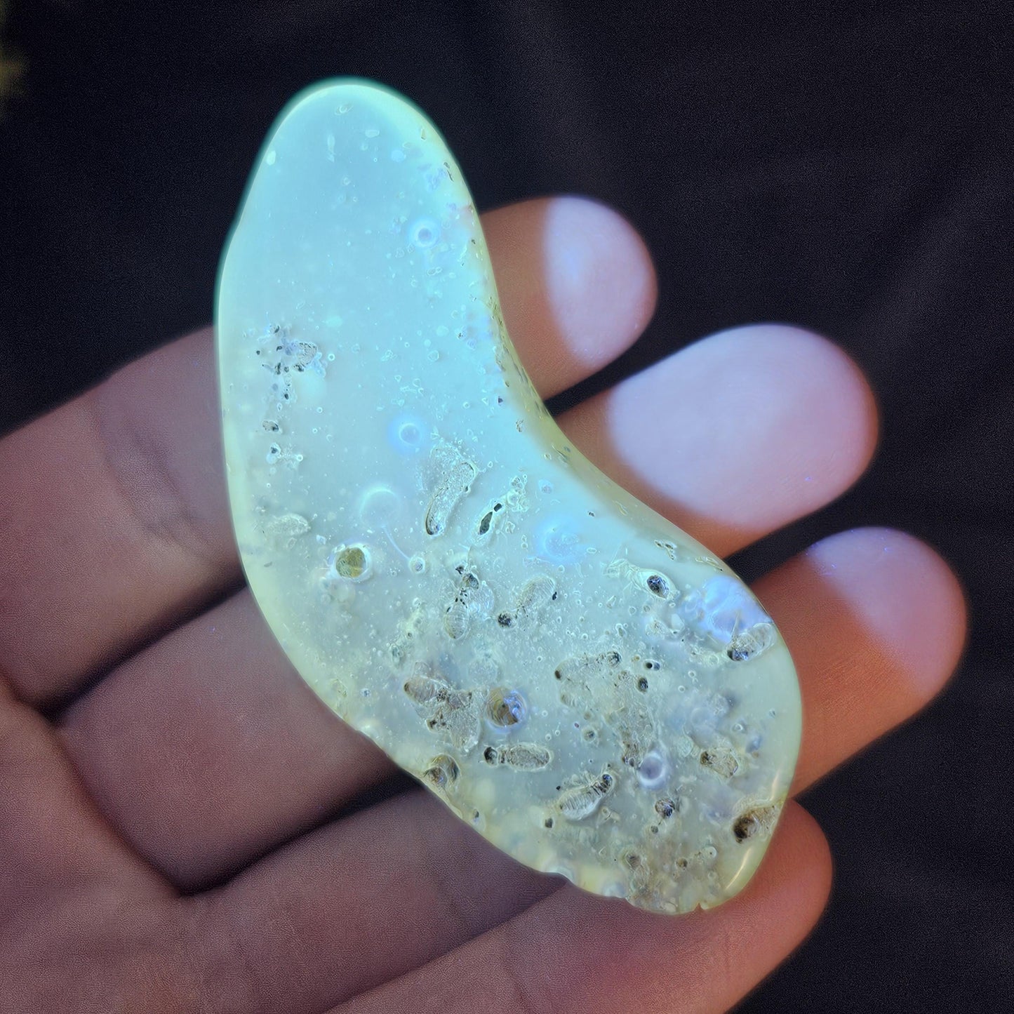 Amber with Insects, 10.2g Polished Amber from Colombia