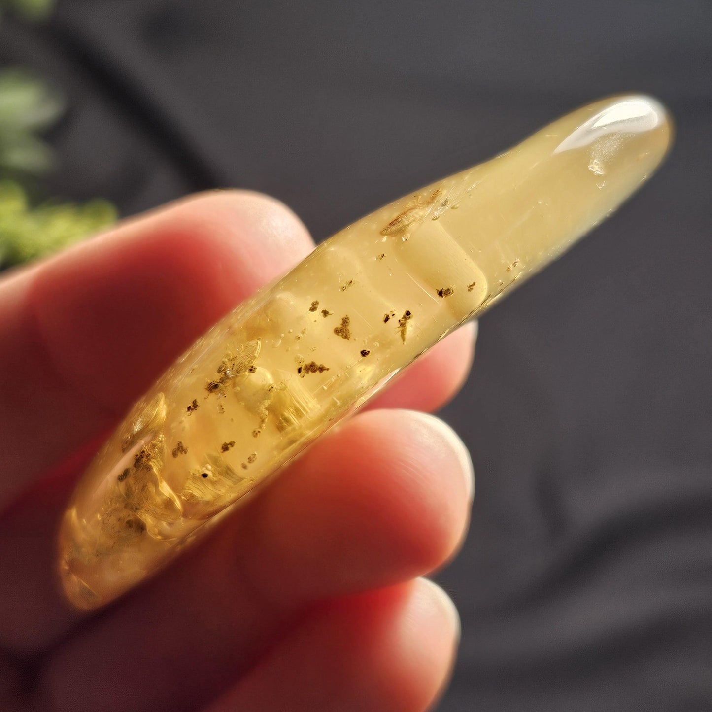Amber with Insects, 10.2g Polished Amber from Colombia