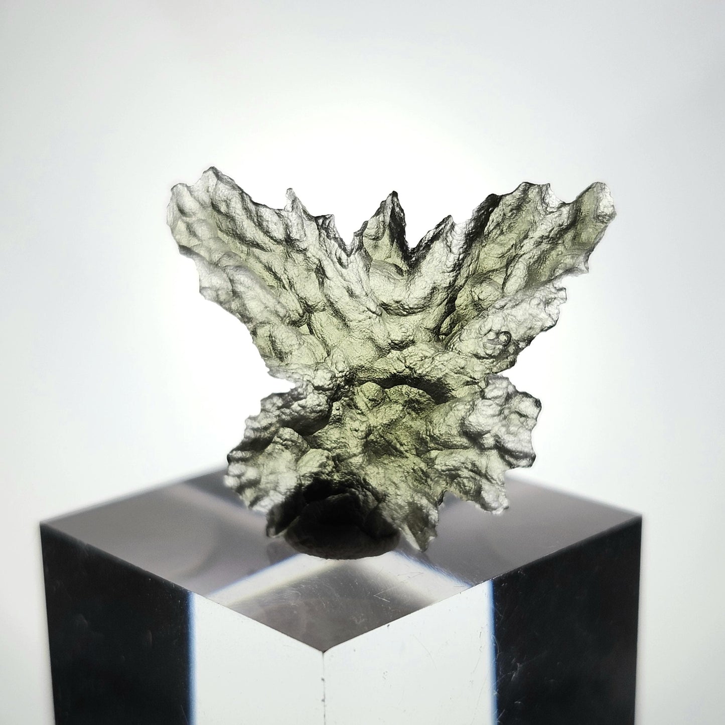 Besednice "Hedgehog" Moldavite 1g