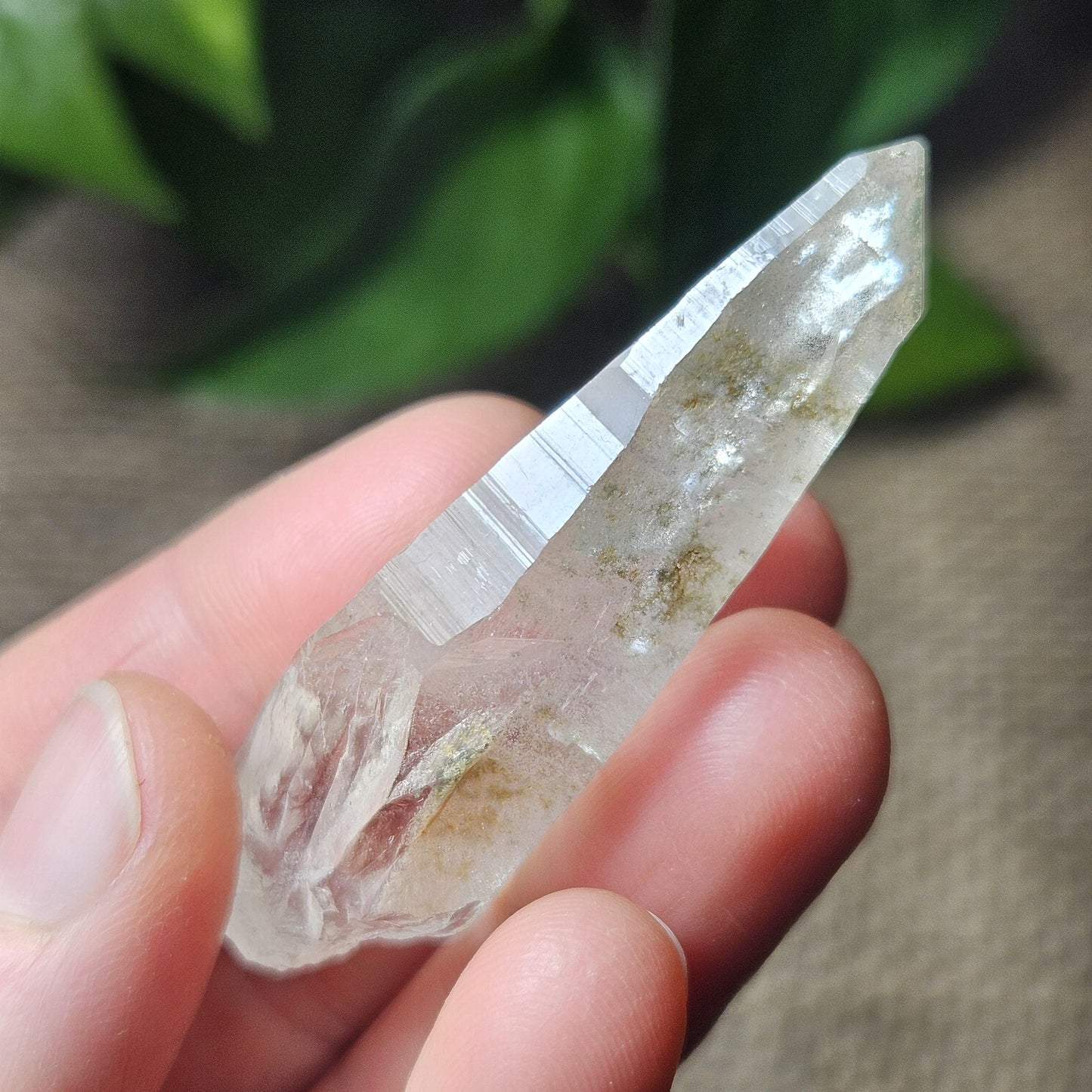 Ganesh Himal Quartz Crystal with Green Chlorite (60mm x 20mm): Himalayan Quartz Crystal