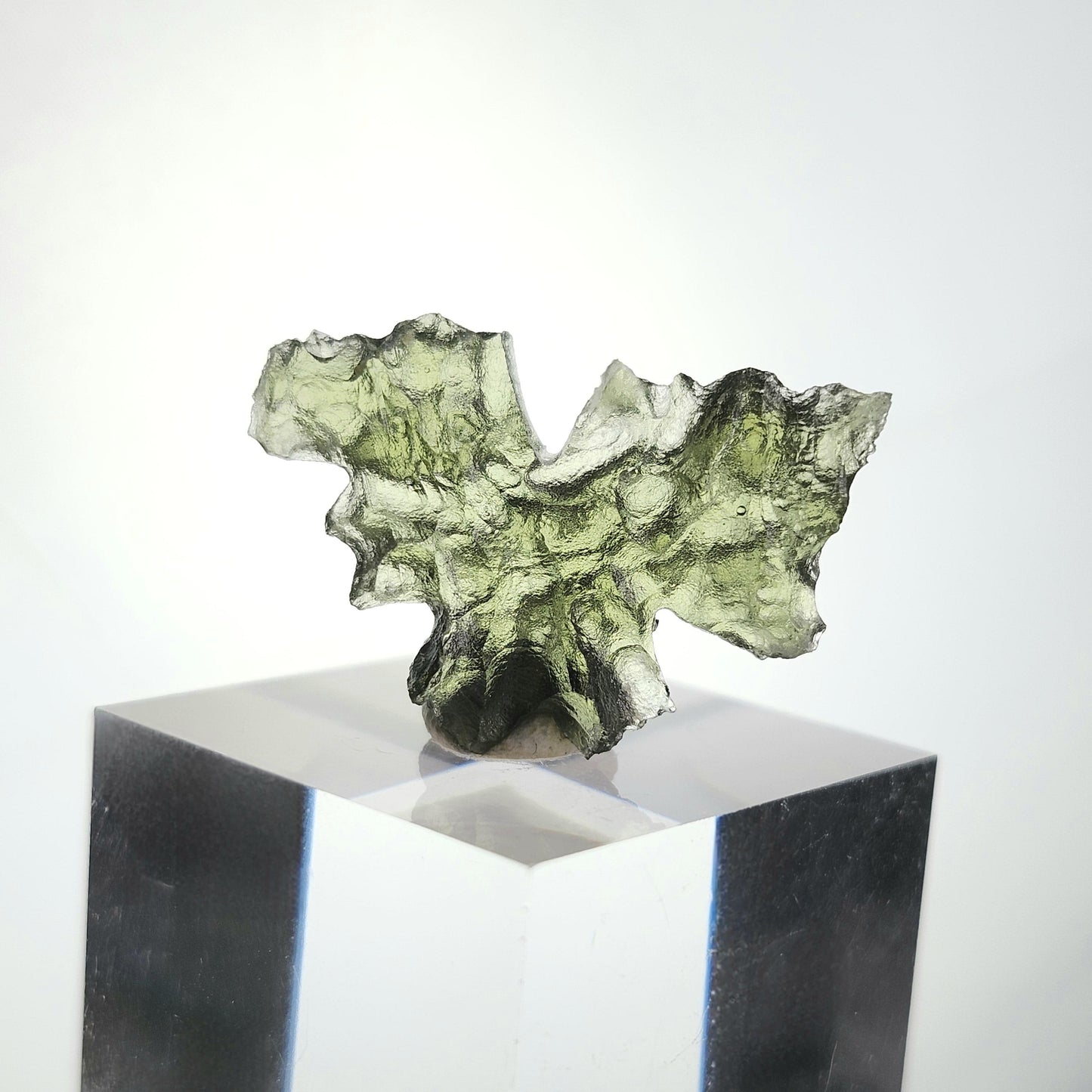 Besednice "Hedgehog" Moldavite 1.5g