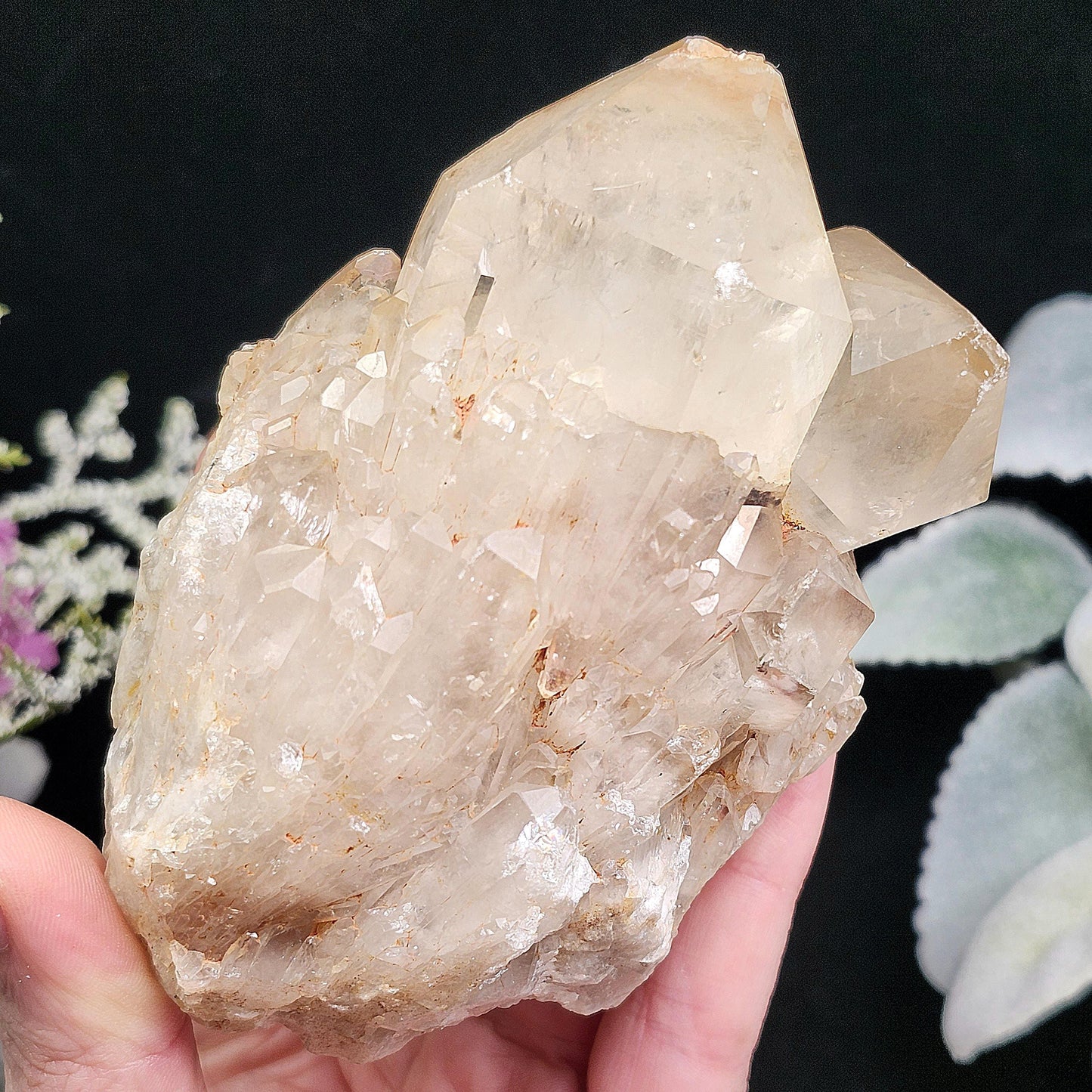 Congo Citrine Cluster 492g