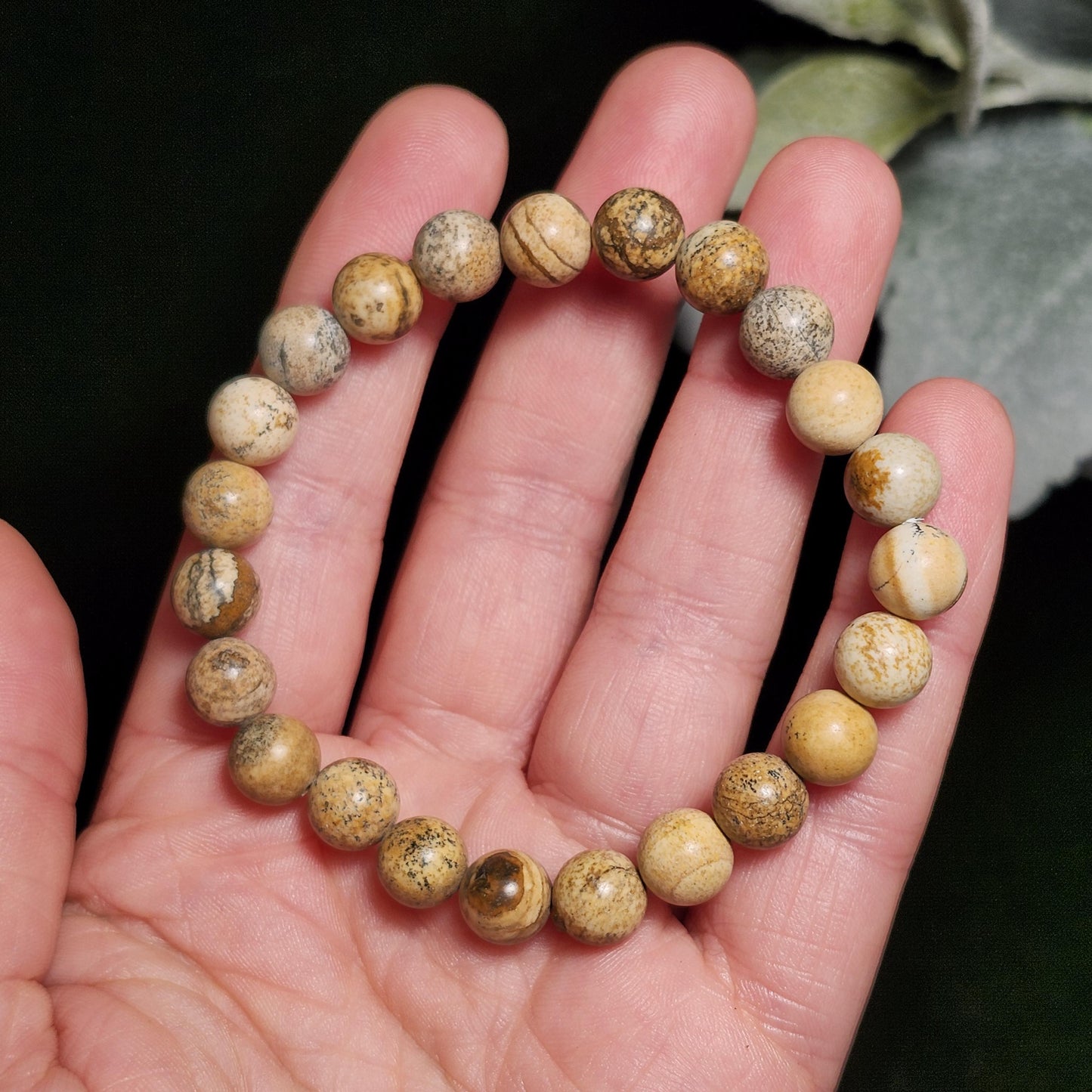 Picture Jasper Bracelet