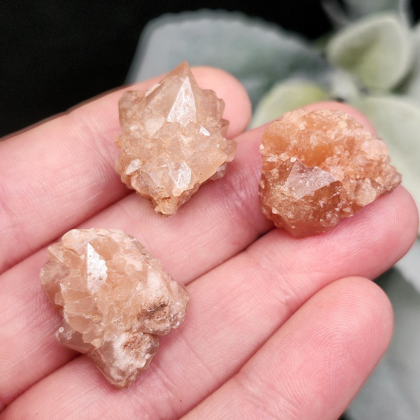 Pink Quartz Cluster from Palos Parados