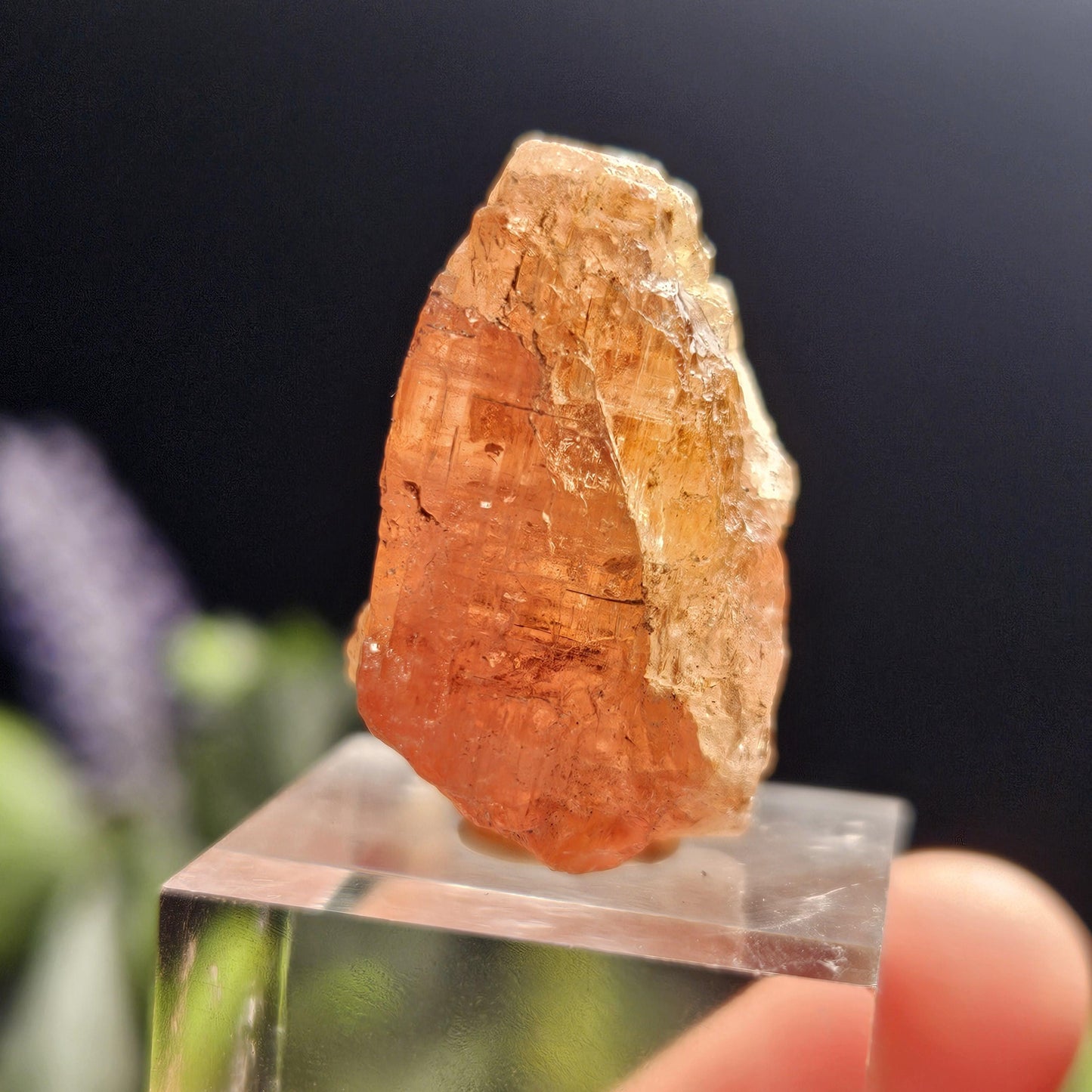 Raw Pink Topaz Crystal 13.9g, Bicolored Topaz, Ouro Preto, Brazil