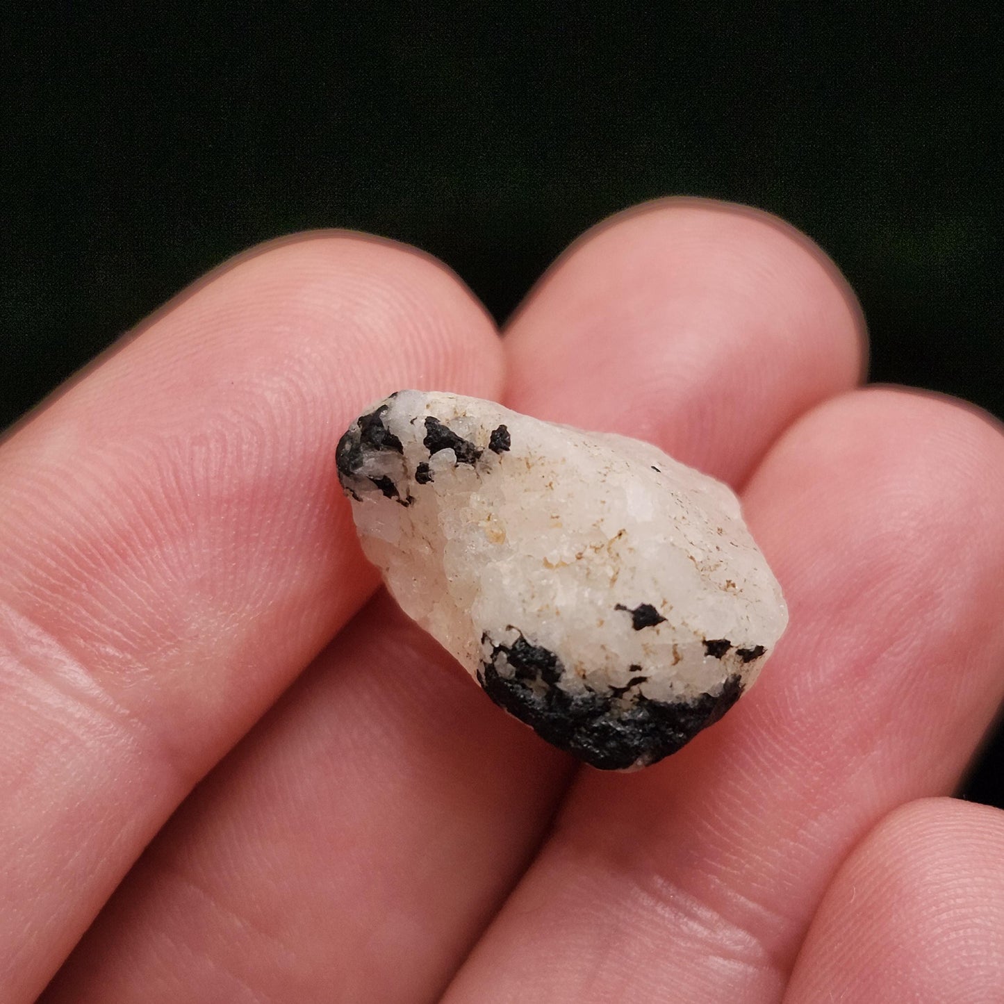 White Phenacite & Black Tourmaline Crystal 3.7g, Nigerian Phenakite with Black Tourmaline