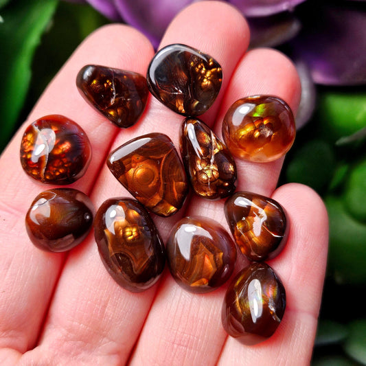 May include: A collection of polished, cabochon-cut fire agate gemstones. The stones display a range of warm, earthy tones, including deep browns, oranges, and hints of gold. Each stone has unique patterns and internal structures, creating a natural, organic aesthetic.