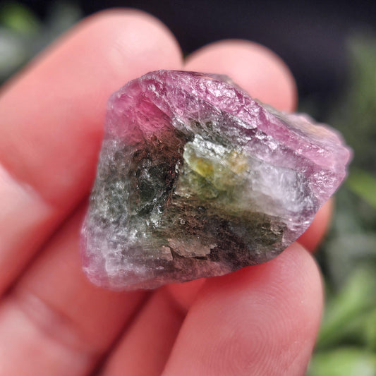 Watermelon Tourmaline 16g, Brazilian Tourmaline Raw Crystal, Green & Pink Specimen
