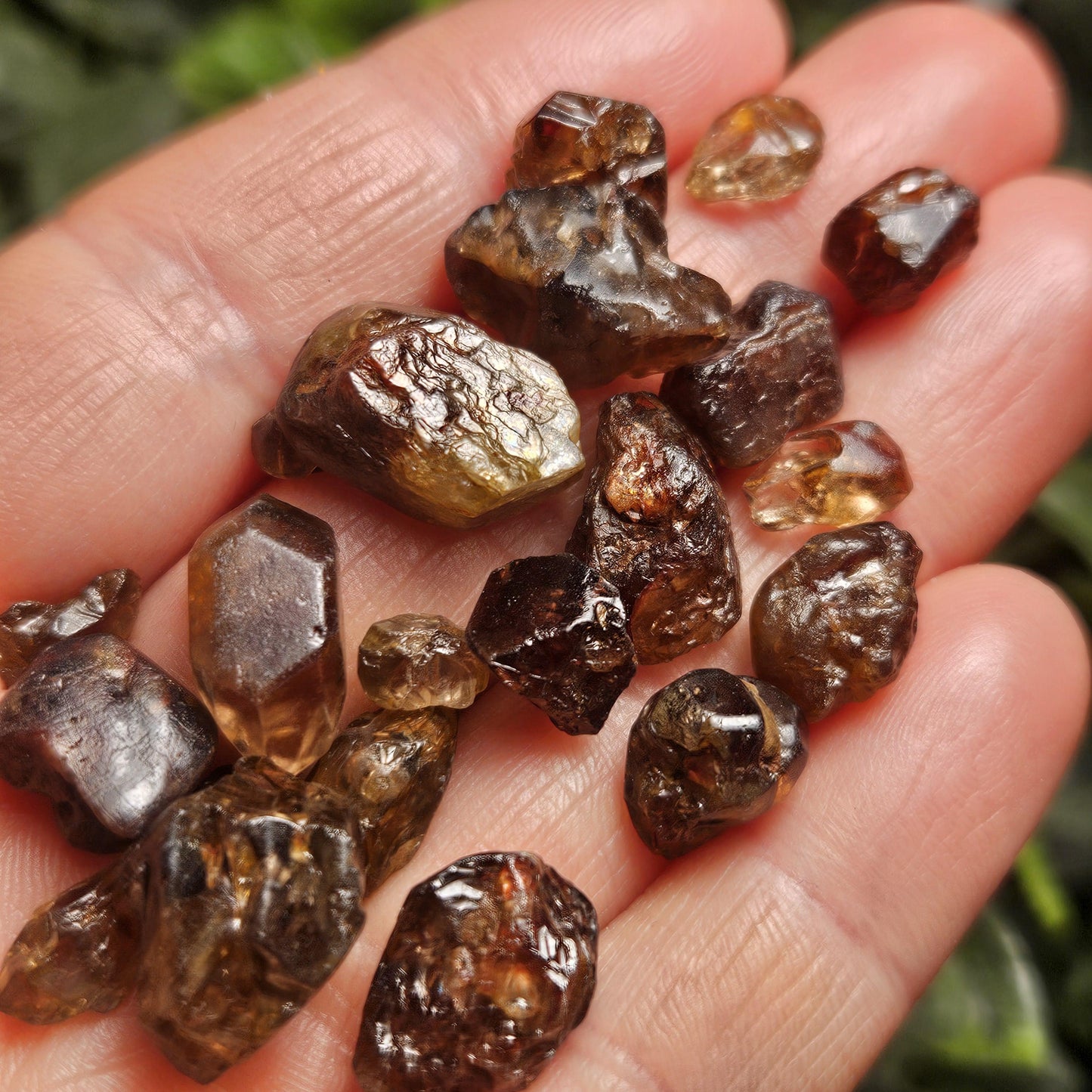 Champagne Zircon Crystal from Nigeria, Alluvial River